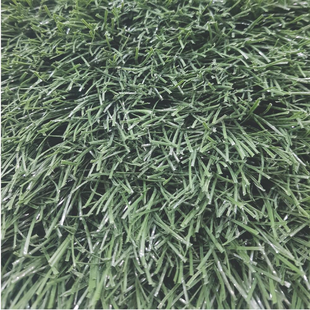 Artificial Turf [DGTEU55]