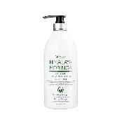 Hymalaya Moringa shampoo & treatment