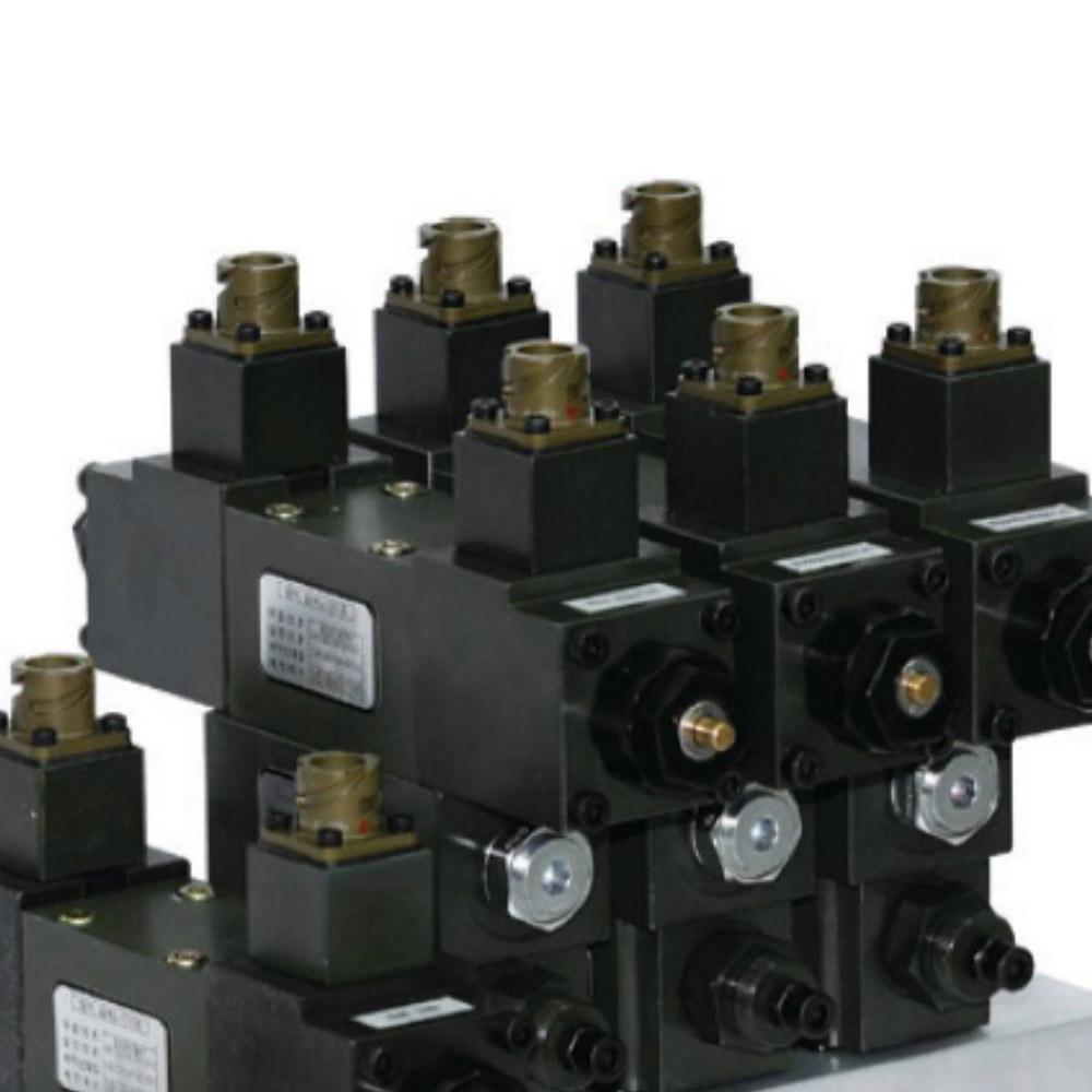 Module Valve Assembly