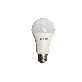 detail image1 OREX Air Purifying LED Bulb Lamp