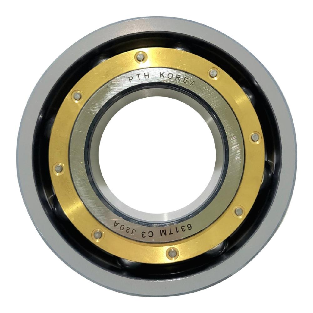 6317-M-C3-J20A INSULATED DEEP  GROOVE BALL BEARINGS