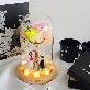 detail image4 LED Rainbow Rose Glass Dome Mood Light Anniversary Gift