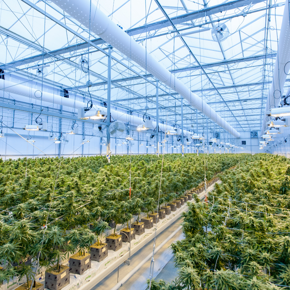 ACX Layflat Hose (PVC)