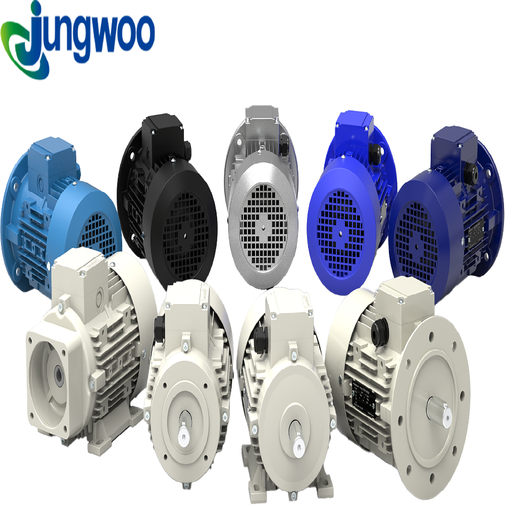 Customized Motor ( Hydraulic, Long shaft, Explosion proof, Hoists, Brakes, Magnet pumps, etc. )