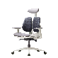 detail image1 DX2 ergonomic office chair, task chair , home furniture